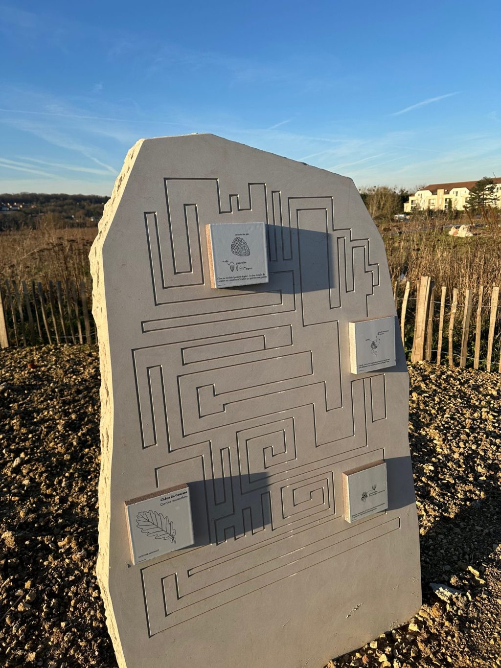 Le parc de&nbsp;l&rsquo;arbre